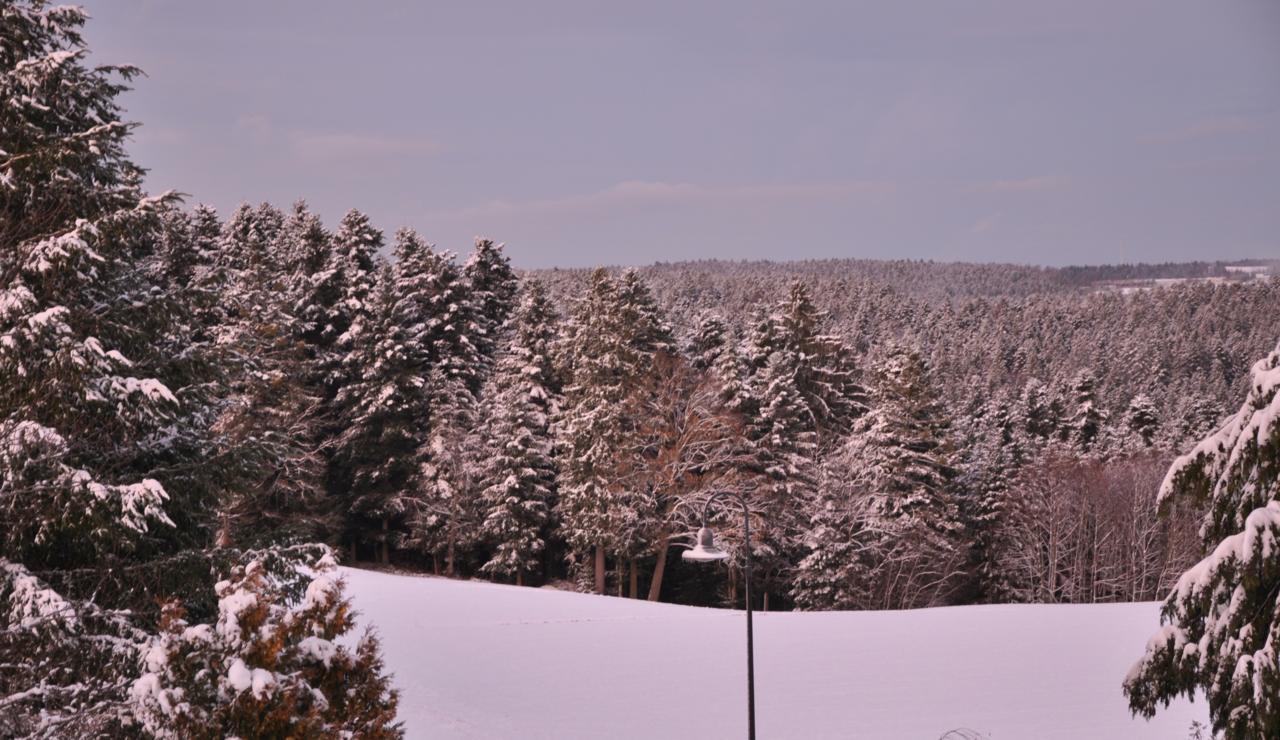 Landhotel Krone Alpirsbach Luaran gambar